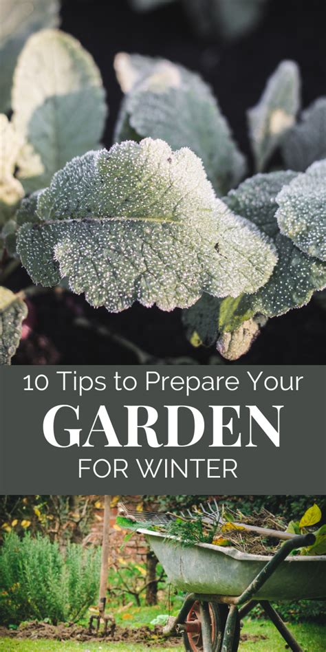 10 Tips For Preparing Your Garden For Winter Artofit