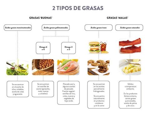 Tipos De Grasas Nutrición Alimentos Grasa