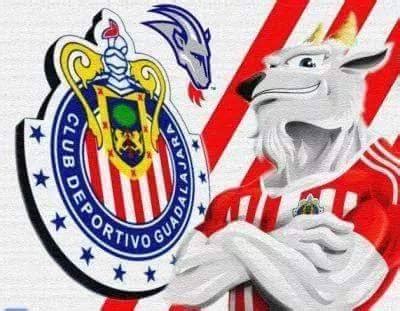 Select from premium orbelin pineda of the highest quality. Club Chivas Mx - Sports & Recreation - Guadalajara ...