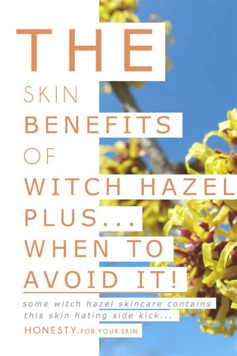 the benefits of witch hazel skincare… plus when you should avoid it skin care benefits of