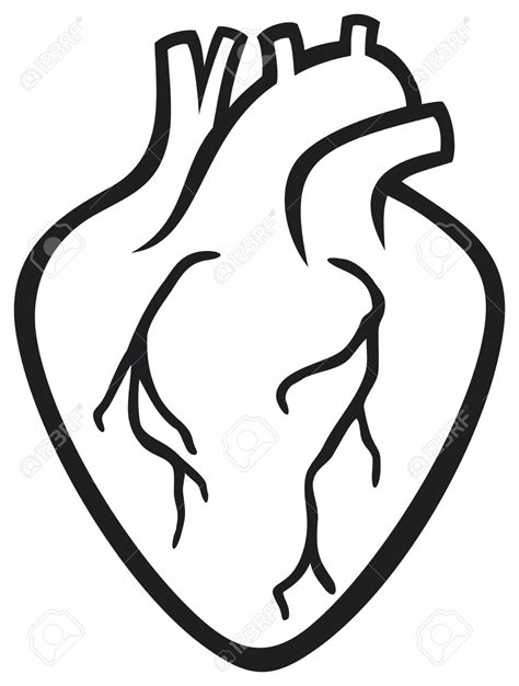 Real Heart Clipart Free Download On Clipartmag