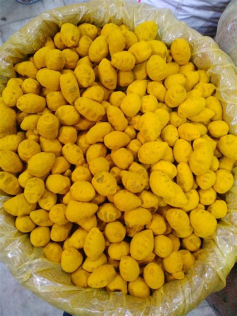 Erode Turmeric Finger At Best Price In Kanpur By Shri Sai Traders ID