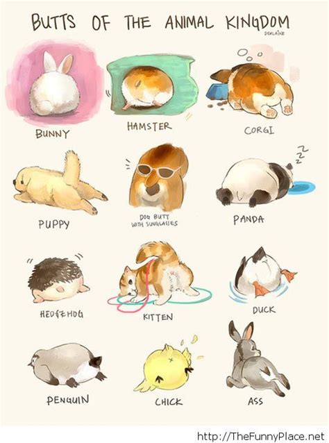 Funny Animal Drawings Thefunnyplace