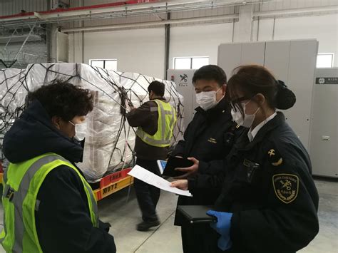 Ship Mask Ppe Medical Supplies From Chinachina Customs Announcement No
