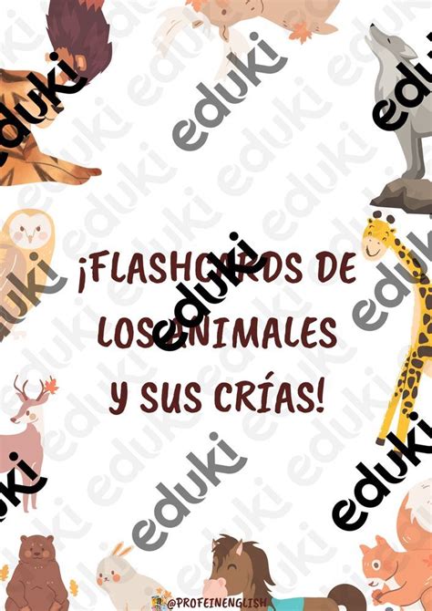 Flashcards Con El Vocabulario De Los Animales Y Sus Crías En Español