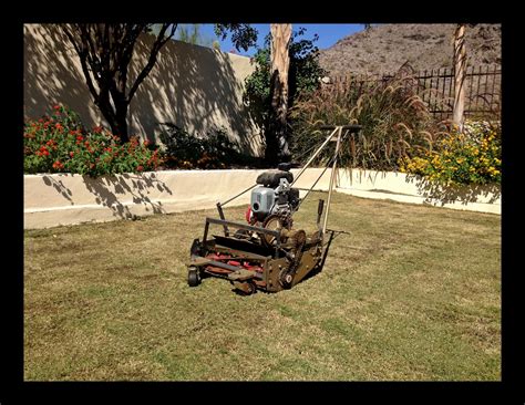 How to prepare a lawn for overseeding. ProQual Landscaping: Overseeding my backyard with winter rye seed