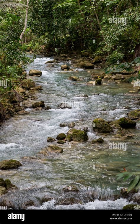 Creek Leading Up To The Kawasan Waterfalls In Badian On Cebu