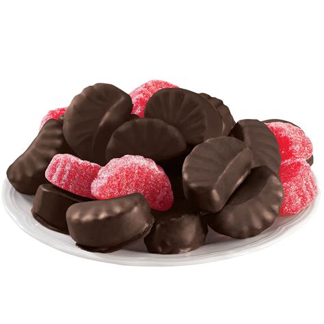 Dark Chocolate Covered Fruit Slices 11 Oz