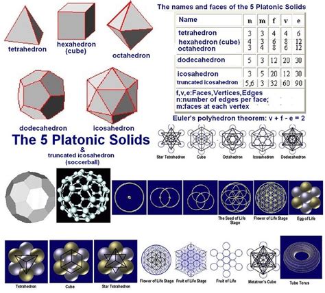 5 Platonic Solids Platonic Solids By Mirahorian Flickr Photo