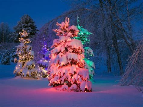 17 Best Images About Christmas On Pinterest Free Screensavers