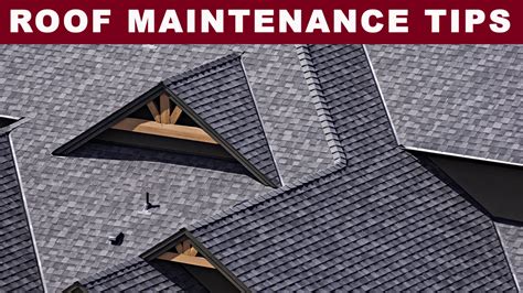 Roofing Maintenance Tips Every Homeowner Should Know Stephen Lewis