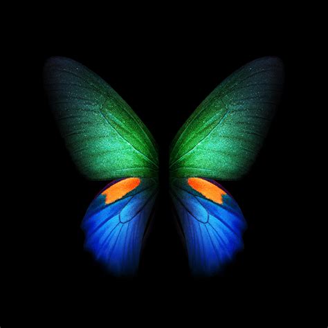 Download Galaxy Fold Wallpapers 36 Video Still Wallpapers