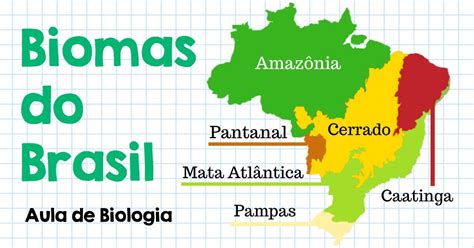 Mapa Mental Biomas Brasileiros Resumo Biologia Bioma Brasileiro Porn The Best Porn Website
