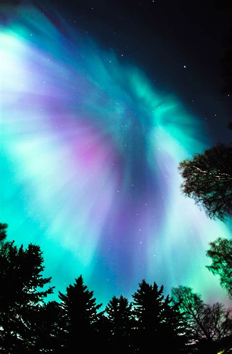 Northern Lights Northern Lights Aurora Borealis Northern Lights