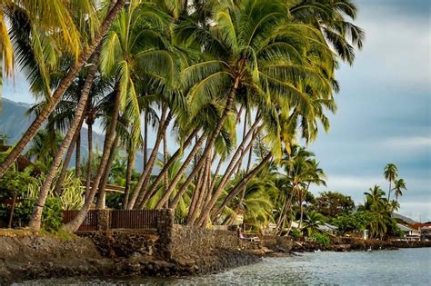 Best Things To Do In Kona Nearby Attractions Artofit