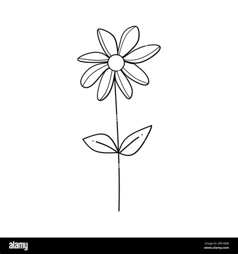Cute Flower Botanical Floral Vector Illustration Outline Hand Drawn Style Design Stock Vector