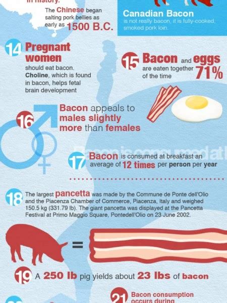 Infographic 25 Facts About Bacon The Wod Life