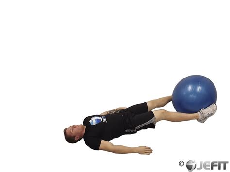 Exercise Ball Leg Lifts Exercise Database Jefit Best Android And
