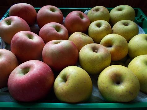 Brendas Berries And Orchards Still Many Apples And Pecans For Sale