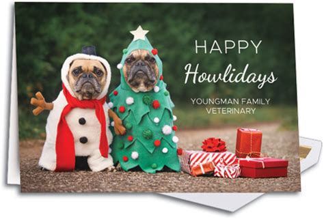Holiday Folding Cards Smartpractice Veterinary