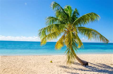 Top 5 Most Beautiful Beaches In Haiti