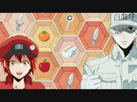 0:17 morningmanga 59 194 просмотра. ふたりは働く細胞 - ニコニコ動画