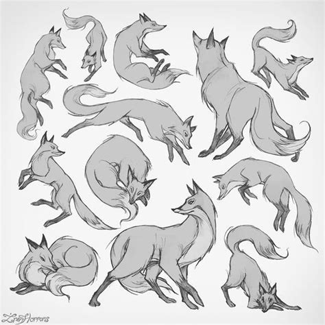 Fox Drawing Reference Doodle Pose Practice Sketch Fox Drawing