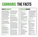 Why Is Marijuana Harmful Pictures
