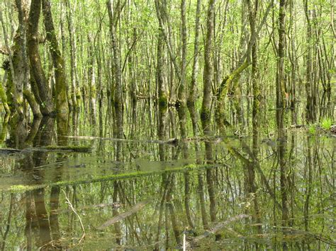 The circeo promontory seen from lake paola. Circeo National Park: Fascist Land-Reclamation and ...