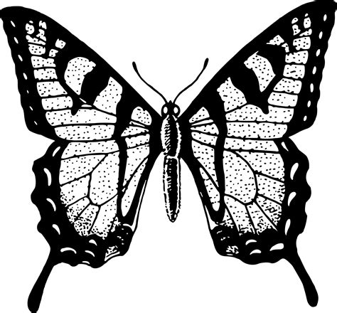 Single Flying Butterfly Clip Art Black Black And White Butterfly Png