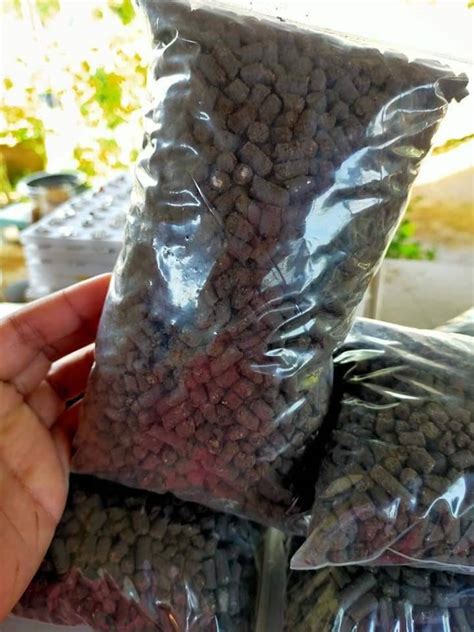 Pembekal baja organik dan baja kimia. Guna Baja Daripada Bahan Masakan. Wanita Ini Kongsi Petua ...
