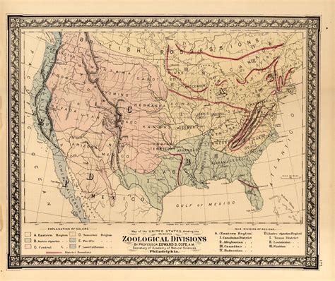 Grays 1876 Map Of The United States Showing The Principal Zoological