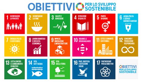 Gli Obiettivi Di Sviluppo Sostenibile Obiettivo Cooperante