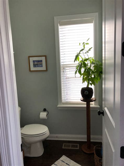 Healing aloe from benjamin moore (remodelaholic). Healing aloe Benjamin Moore | Healing aloe benjamin moore ...