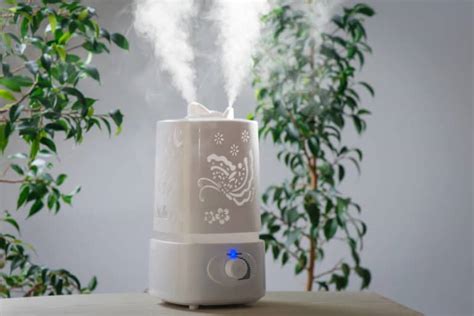 5 best air humidifiers in australia reviews for 2022
