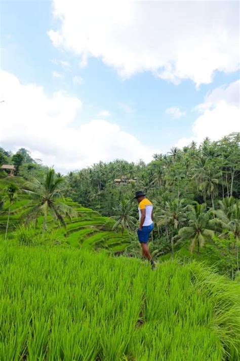 9 Very Best Hikes In Bali To Experience Hand Luggage Only Travel