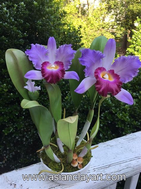 Looking for polymer clay flower? polymer clay flower polymer clay orchid flower clay | Etsy ...