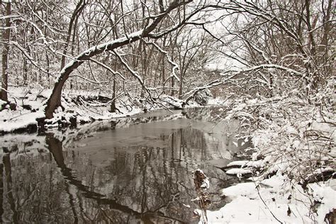 Snowy Stream Photograph By Terri Morris Fine Art America