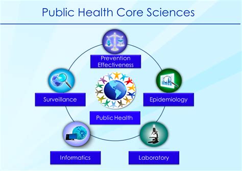 Epc Public Health Diagram Quizlet