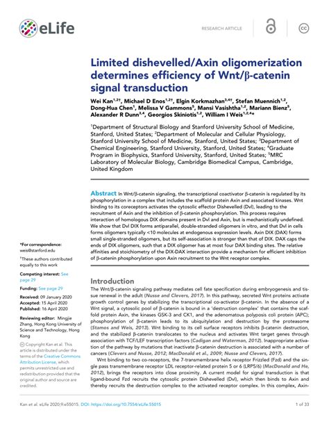 Pdf Limited Dishevelled Axin Oligomerization Determines Efficiency Of