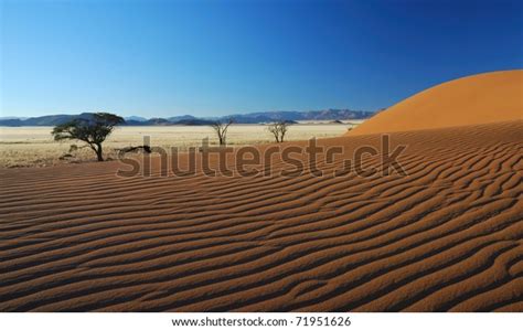 Patterns Namib Desert Stock Photo 71951626 Shutterstock