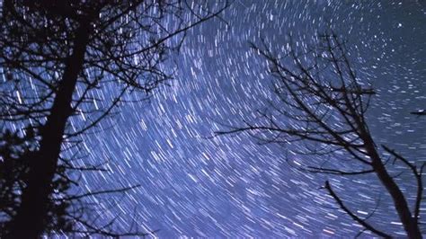Trails Of Stars Rotating Around The North Celestial Pole In A Forest