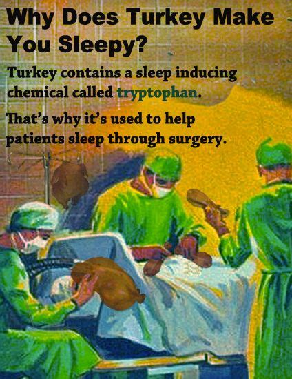 Why Does Turkey Make You Sleepy Funny Facebook Status Funny Quotes