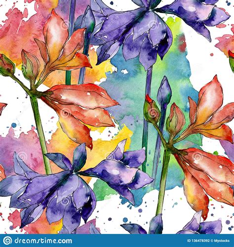 Pink And Purple Amaryllis Floral Botanical Flower Watercolor