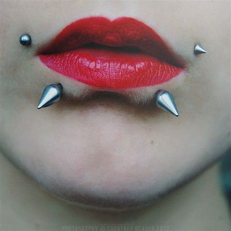 Snake Bite Piercings Found On Polyvore Featuring Jewelry Piercings