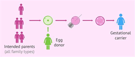 Common scams include phishing for personal information, online shopping, and superannuation scams. IVF surrogacy using donor eggs