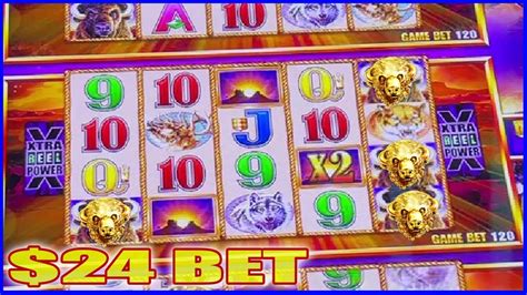 Buffalo Gold Slot Machine • 24 Bet High Limit Bonus Youtube