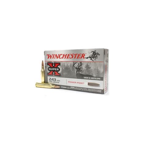 Winchester 243 Win Power Point 100gr