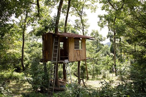 Free Images Forest Trail Hut Jungle Cottage Woodland Log Cabin