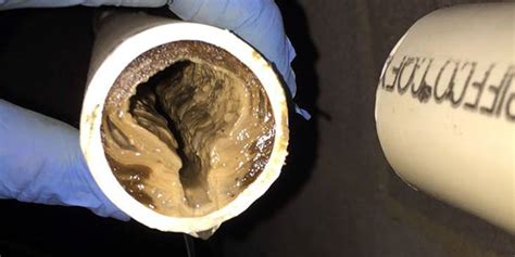 Kitchen drain clogged with fat. Can You Dump Cooking Oil Down The Drain - Best Drain ...